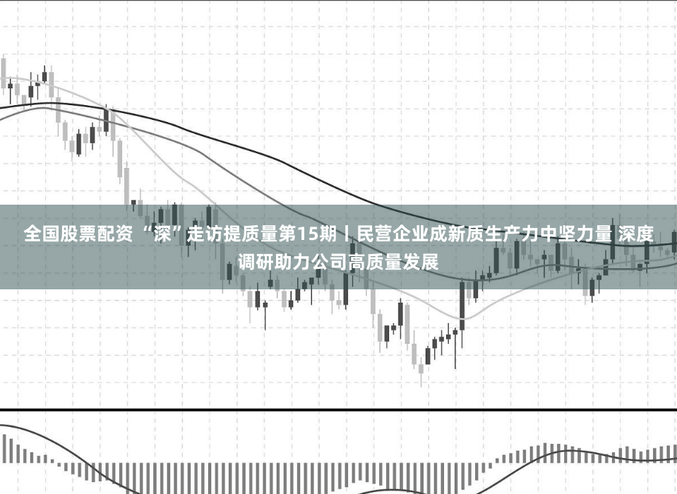 全国股票配资 “深”走访提质量第15期丨民营企业成新质生产力中坚力量 深度调研助力公司高质量发展