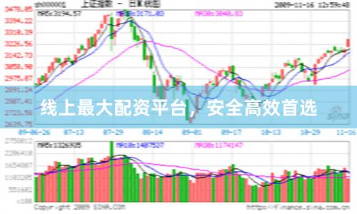 线上最大配资平台，安全高效首选