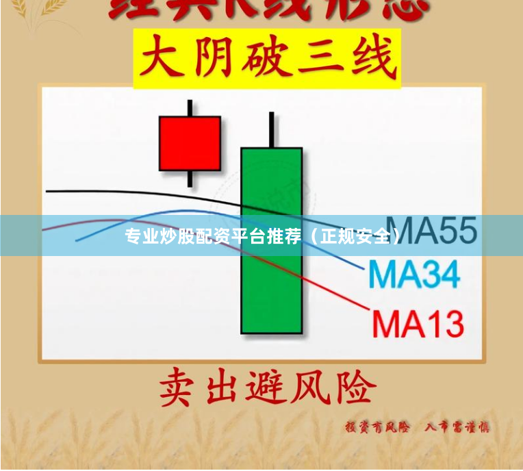 专业炒股配资平台推荐（正规安全）