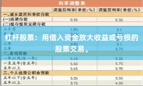 杠杆股票：用借入资金放大收益或亏损的股票交易。