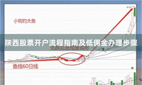 陕西股票开户流程指南及低佣金办理步骤
